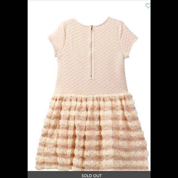 NWT Nordstroms Baby Sara sweet drop waist flower detail dress - Picture 2 of 8